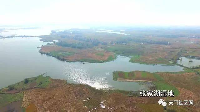 天门市张家湖最新进展
